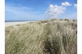 Duenen